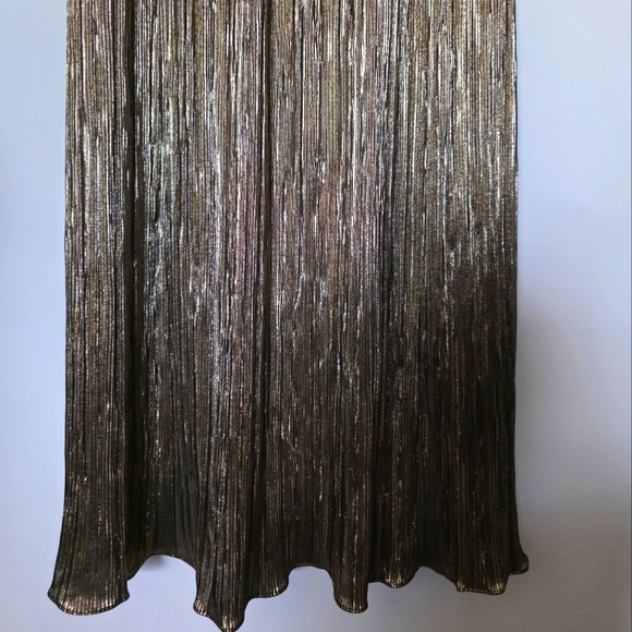 DKNY Women's Pleated Metallic Lace-Trim‎ Sleeveless Gown Sz 2 - Picture 6 of 13